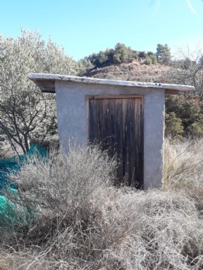 pozo prpio