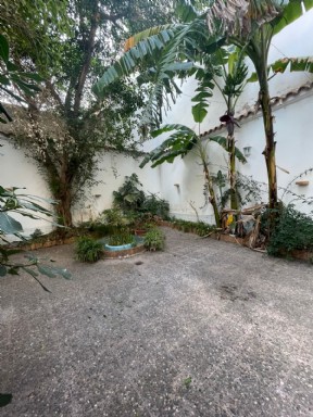 PATIO EXTERIOR 2
